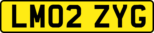 LM02ZYG