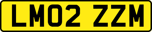 LM02ZZM