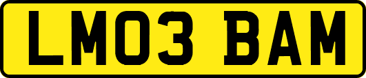 LM03BAM