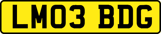 LM03BDG