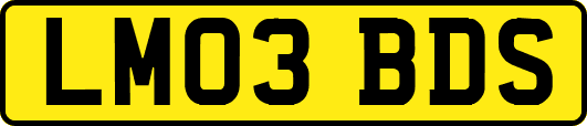 LM03BDS
