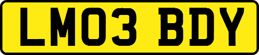 LM03BDY