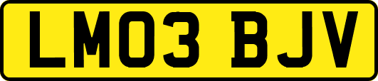 LM03BJV