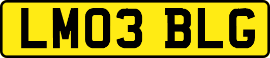 LM03BLG