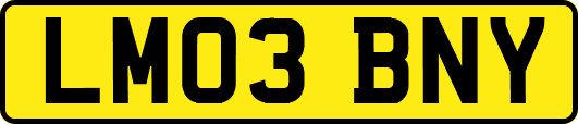 LM03BNY