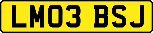 LM03BSJ
