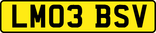 LM03BSV