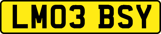 LM03BSY