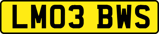 LM03BWS