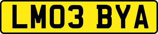 LM03BYA
