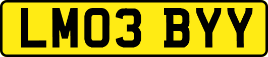 LM03BYY