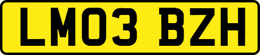 LM03BZH