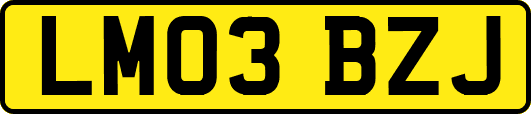LM03BZJ