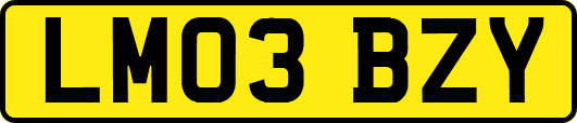 LM03BZY