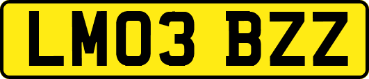 LM03BZZ