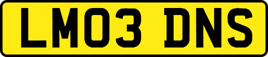 LM03DNS