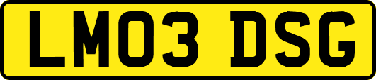 LM03DSG