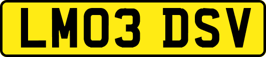 LM03DSV