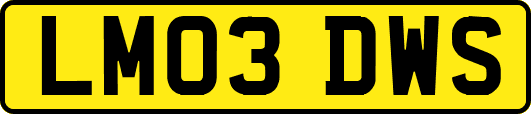 LM03DWS