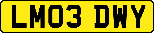 LM03DWY