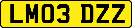 LM03DZZ