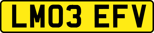 LM03EFV
