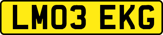 LM03EKG