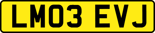 LM03EVJ