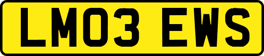 LM03EWS