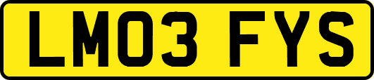 LM03FYS