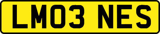 LM03NES