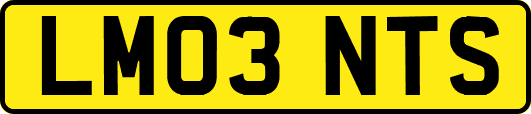 LM03NTS