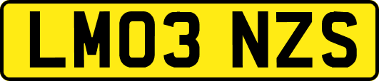 LM03NZS
