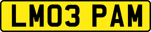 LM03PAM