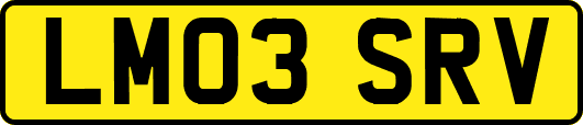 LM03SRV