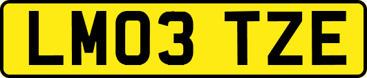 LM03TZE