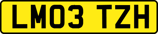 LM03TZH