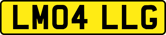LM04LLG