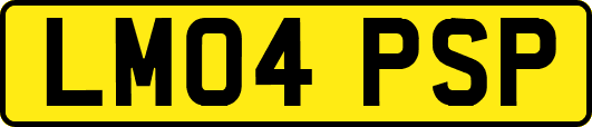 LM04PSP