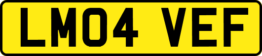 LM04VEF