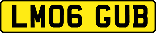 LM06GUB