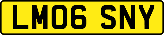 LM06SNY