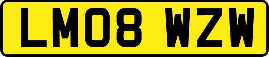 LM08WZW
