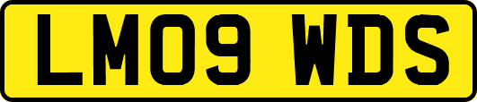 LM09WDS