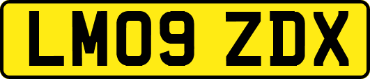 LM09ZDX