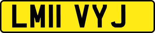 LM11VYJ