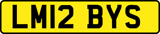 LM12BYS
