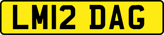 LM12DAG