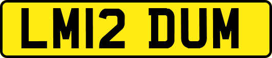 LM12DUM