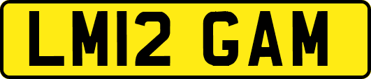 LM12GAM